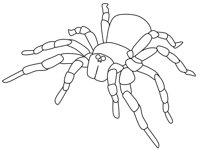 Spider Shape Template - 55+ Crafts & Colouring Pages | Free & Premium ...