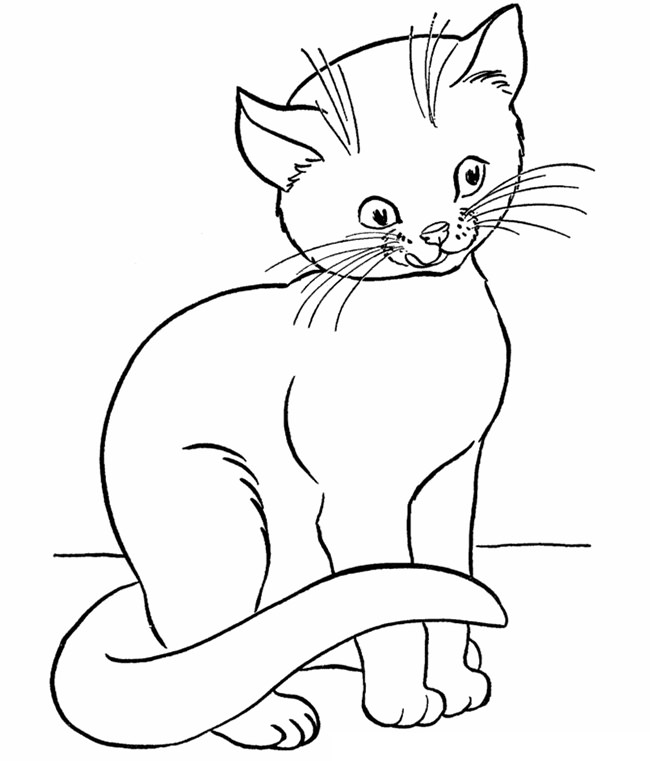 61+ Cat Shape Templates, Crafts And Colouring Pages