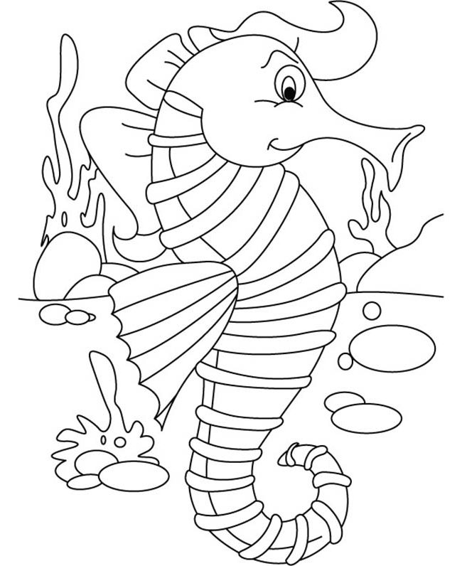 40+ Seahorse Shape Templates, Crafts & Colouring Pages | Free & Premium ...