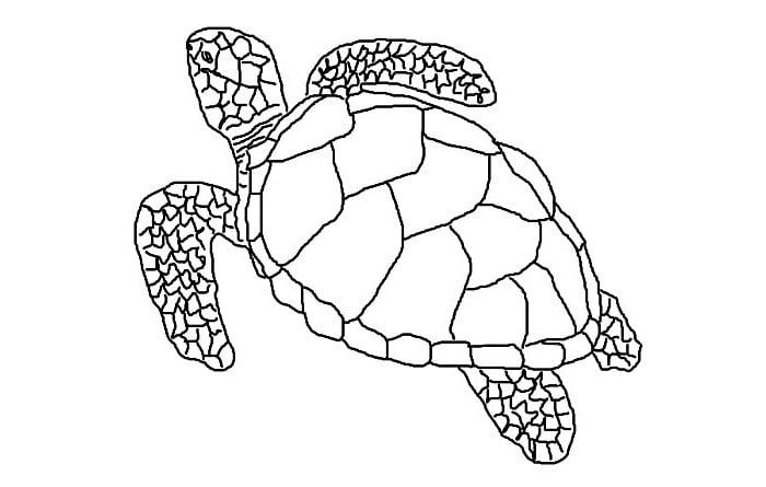 65-sea-creature-templates-printable-crafts-colouring-pages-free