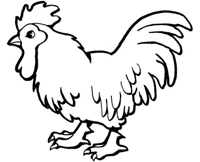 Chicken Template  Animal Templates  Free \u0026 Premium Templates