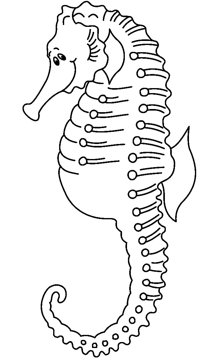 65+ Sea Creature Templates - Printable Crafts &amp; Colouring Pages!