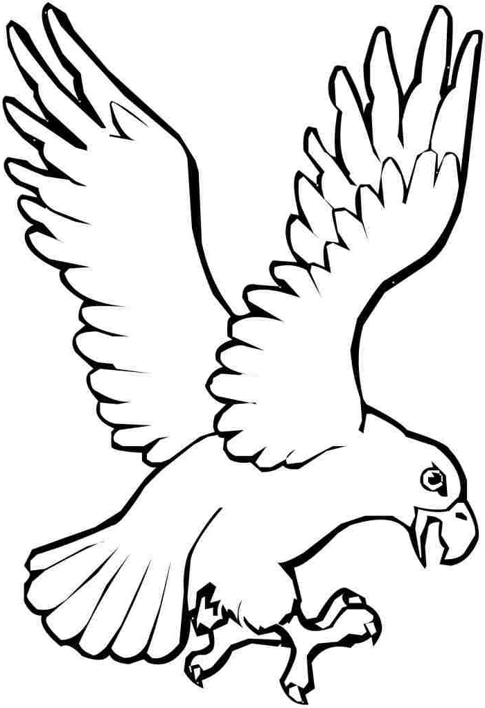 Eagle Template Animal Templates Free Premium Templates