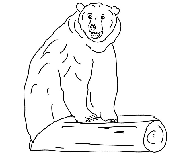 Bear Template - Animal Templates | Free &amp; Premium Templates