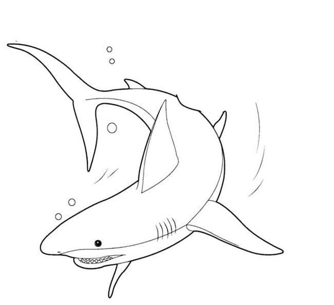 55+ Shark Shape Templates, Crafts & Colouring Pages Free & Premium