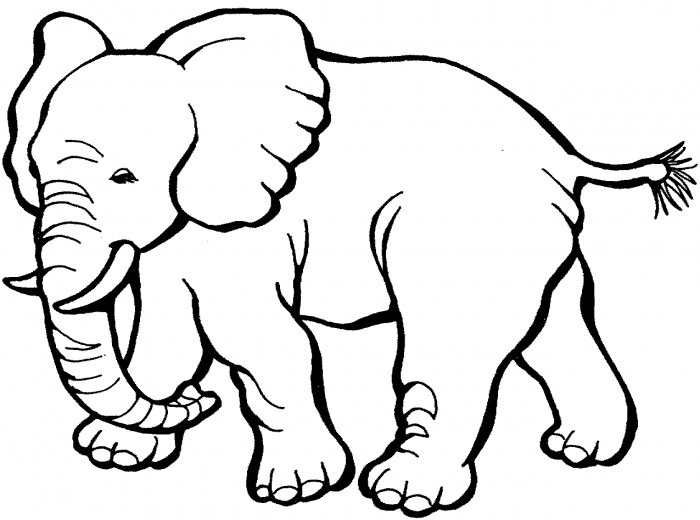 cut out elephant pattern