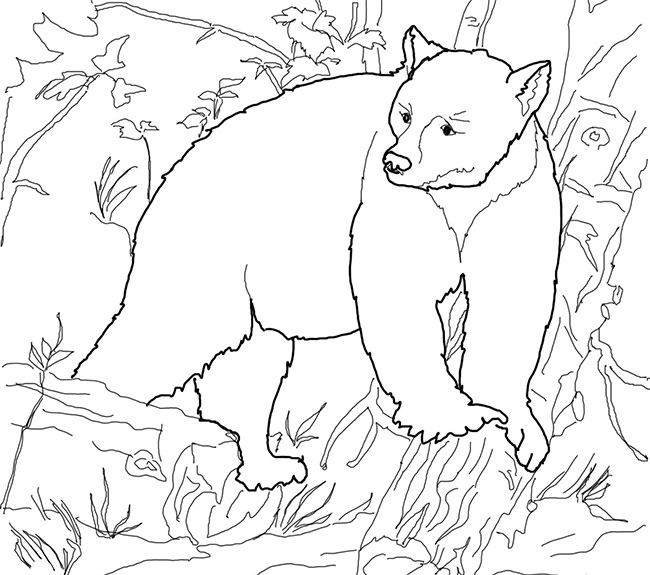 Bear Template - Animal Templates