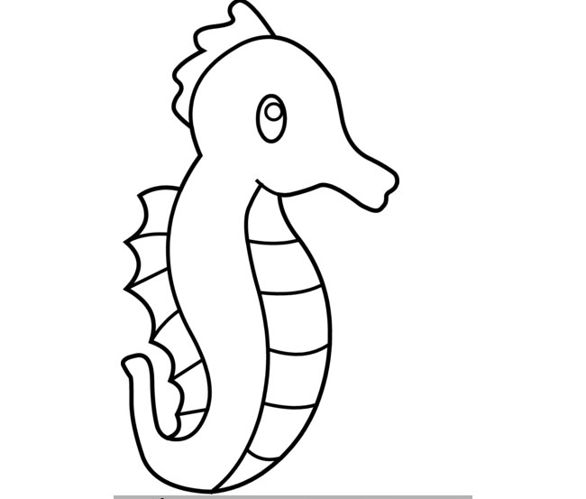 cute seahorse drawing