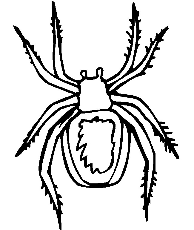 Spider Shape Template 55 Crafts Colouring Pages Free Premium