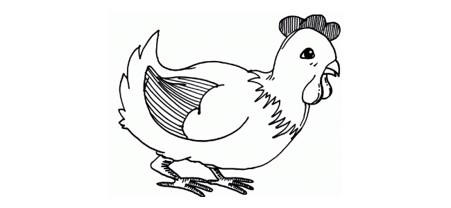 Chicken Template - Animal Templates | Free &amp; Premium Templates