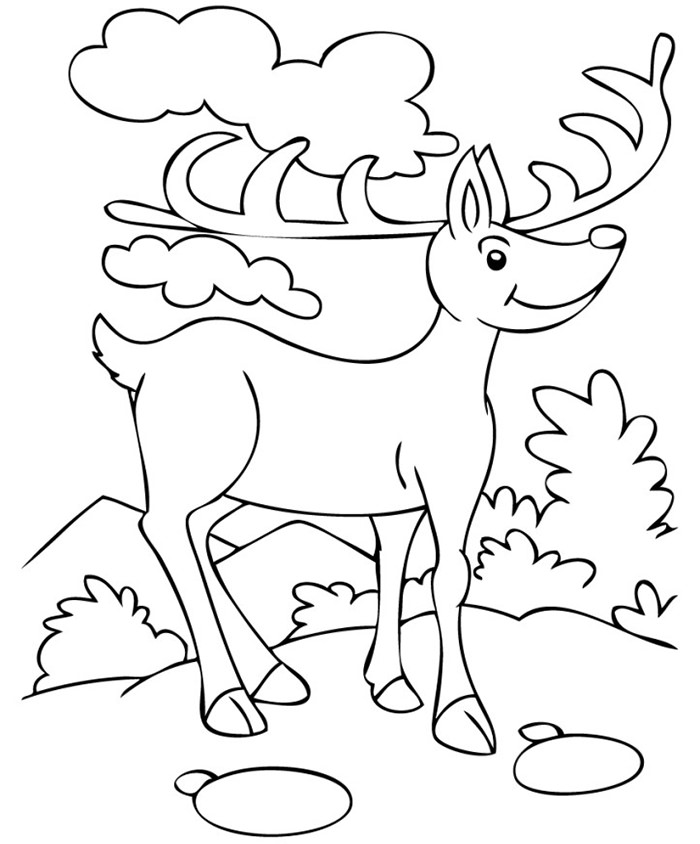 Reindeer Template - Animal Templates