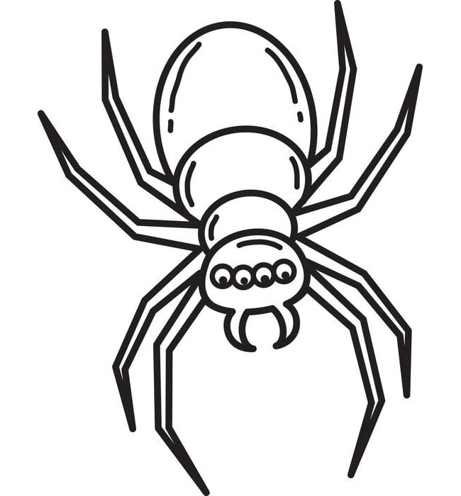 Download Spider Shape Template - 55+ Crafts & Colouring Pages ...