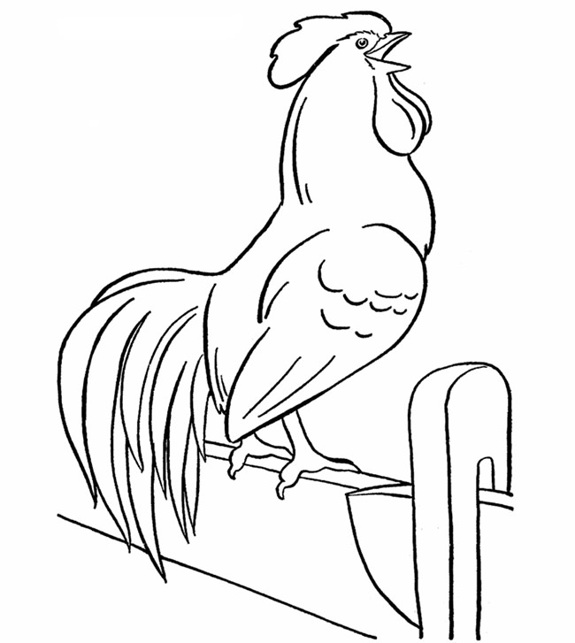 Chicken Template - Animal Templates | Free &amp; Premium Templates