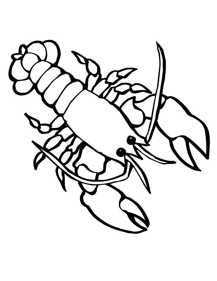 ocean creatures coloring pages - photo #29