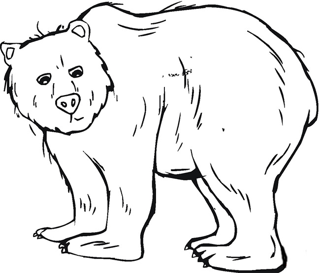 Bear Template - Animal Templates