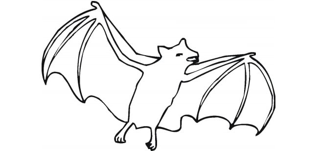 Bat Template - Animal Templates