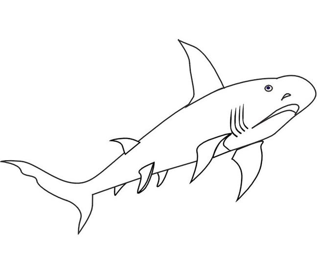55+ Shark Shape Templates, Crafts & Colouring Pages | Free & Premium ...
