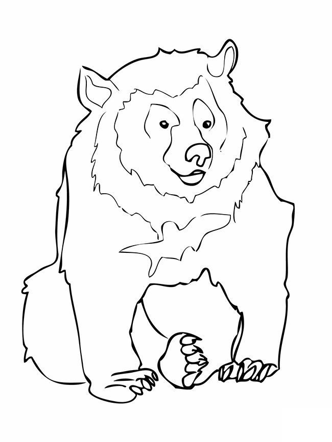 Bear Template - Animal Templates