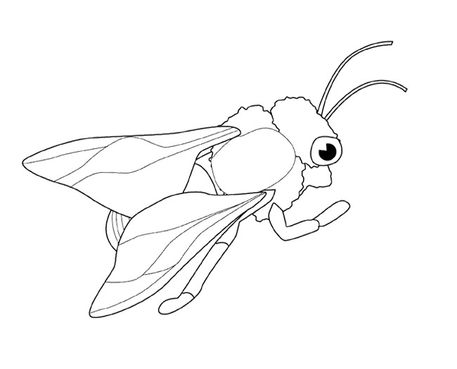 Bee Template - Animal Templates