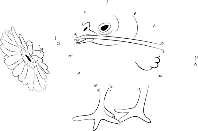 Chicken Template - Animal Templates | Free &amp; Premium Templates