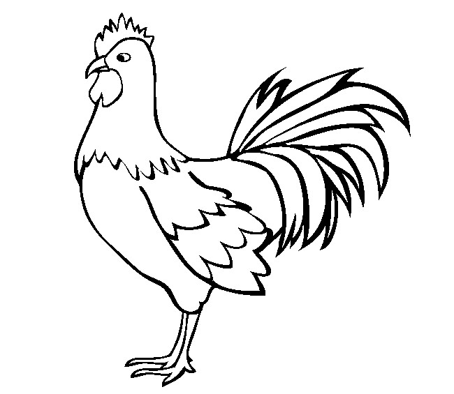 Free Printable Chicken Templates FREE PRINTABLE TEMPLATES