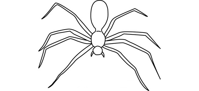 Spider Shape Template - 56+ Crafts & Colouring Pages