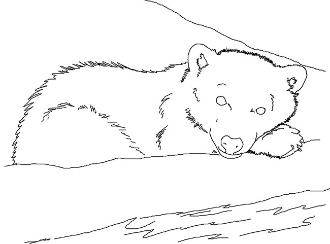 Free Printable Woodland Bear Template