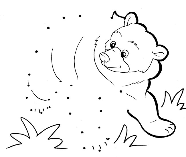 Bear Template - Animal Templates
