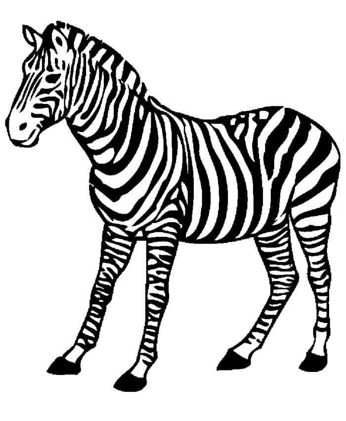 african-zebra-template