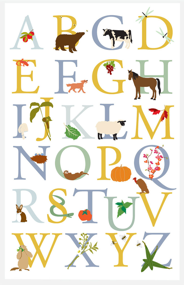 PDF Poster ABC DINA4 26 Letters Alphabet Back to School 