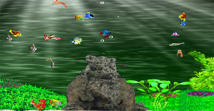 50+ Best Aquarium Backgrounds | Free & Premium Templates