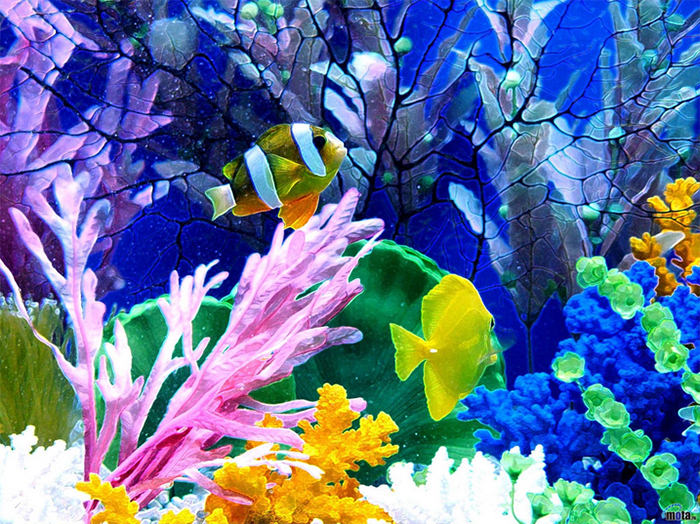 50+ Best Aquarium Backgrounds Free & Premium Templates