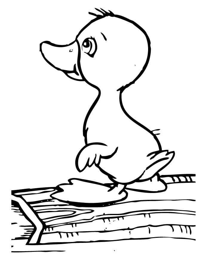 baby duck coloring page for kids
