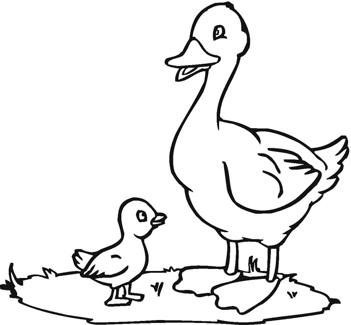 baby duck with mother template