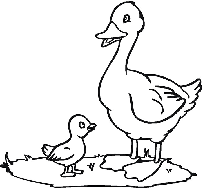 Baby Goose Coloring Pages