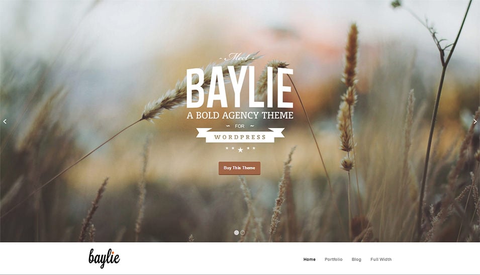 baylie-wordpress-theme