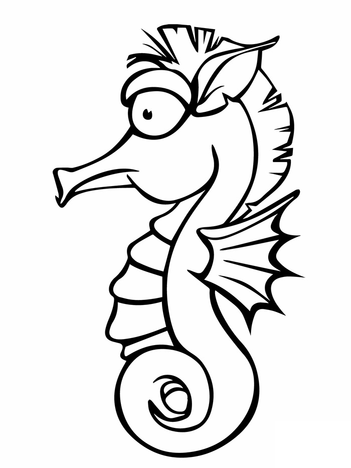 Seahorse Coloring Pages Kidsuki