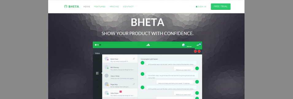 bheta startup landing page