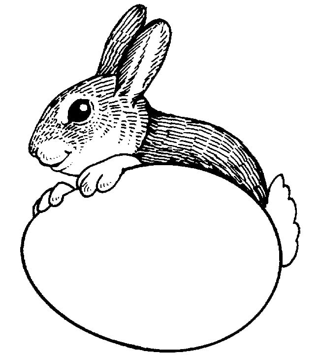 bunny with easter egg coloring page