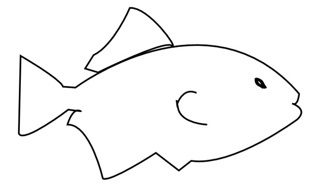 outline drawings of fish