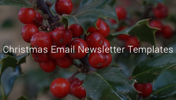 christmas email newsletter templates