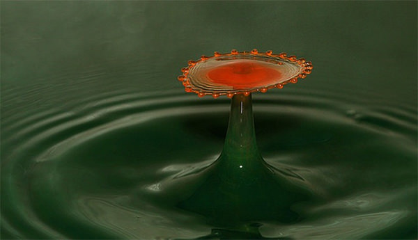 corriewhite waterdrops photography