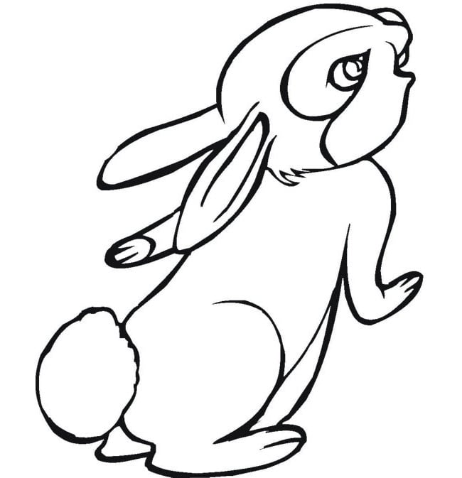 cute-baby-bunny-coloring-page