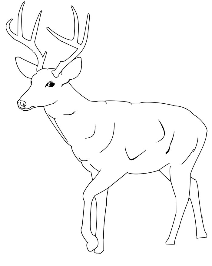 Deer Printable Template