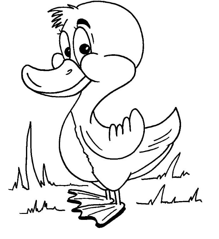cute duck coloring page