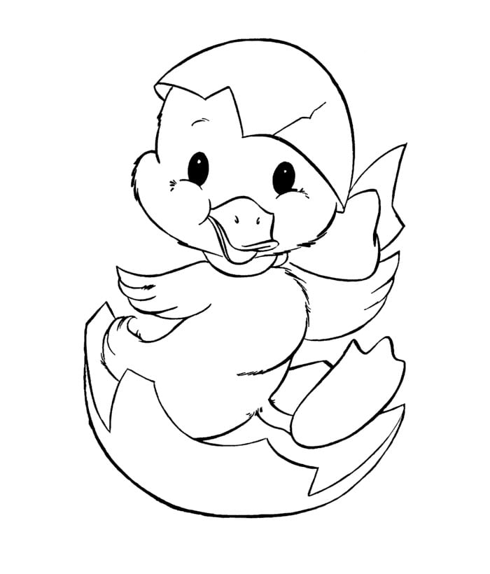 cute duck template