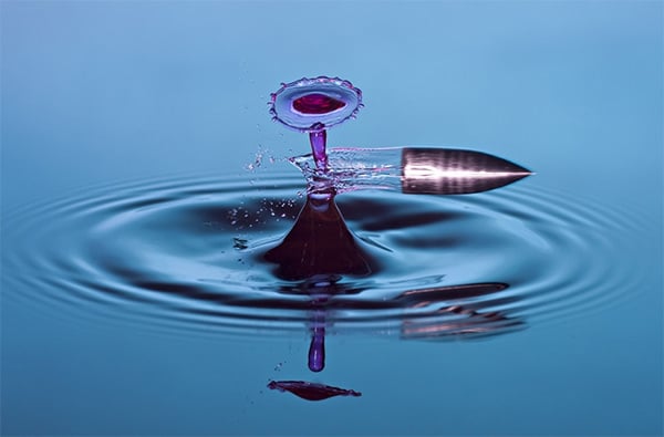 decapitation water drop photography