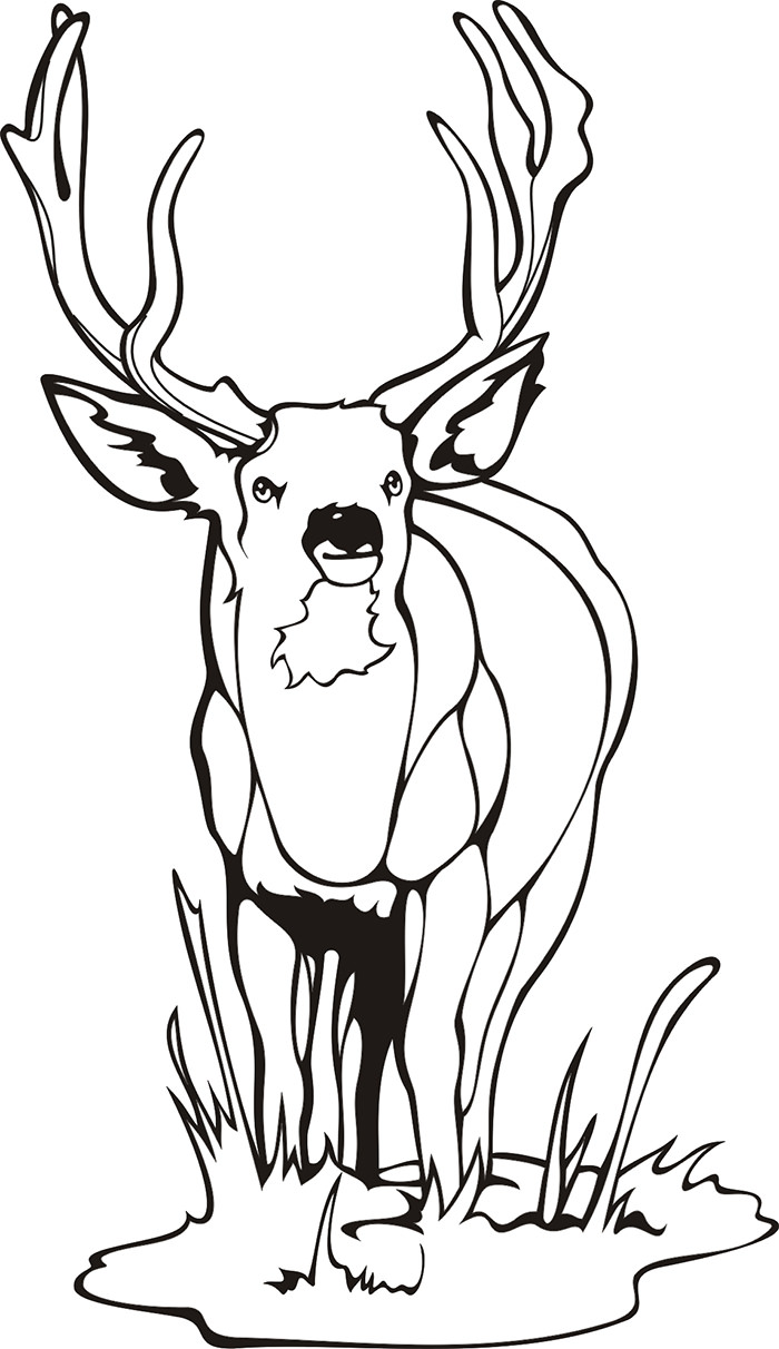 45-deer-templates-animal-templates-free-premium-templates