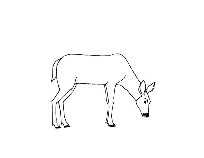 45+ Deer Templates - Animal Templates | Free &amp; Premium Templates