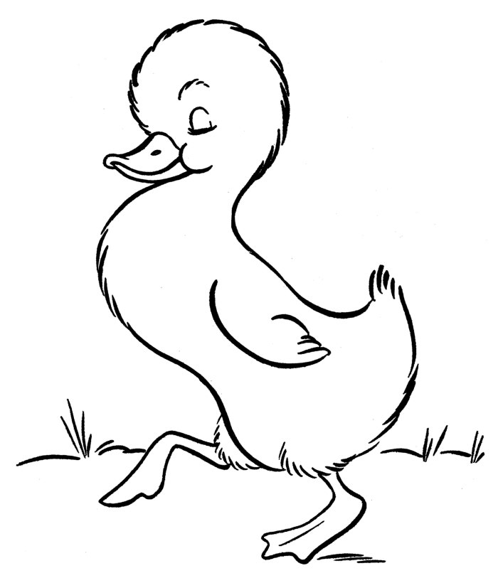 duck farm animal coloring page
